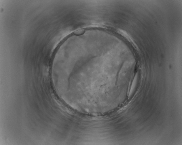 X0000067391260200604281833