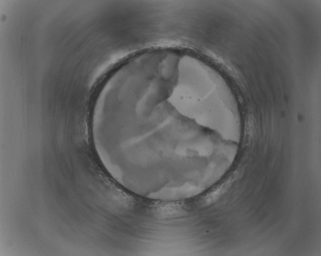 X0000067391262200604281833