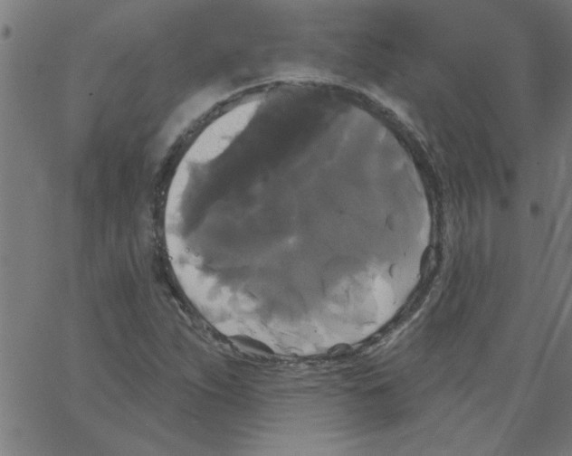 X0000067391263200604281833