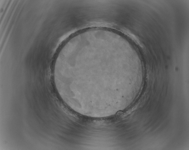 X0000067391264200604281833