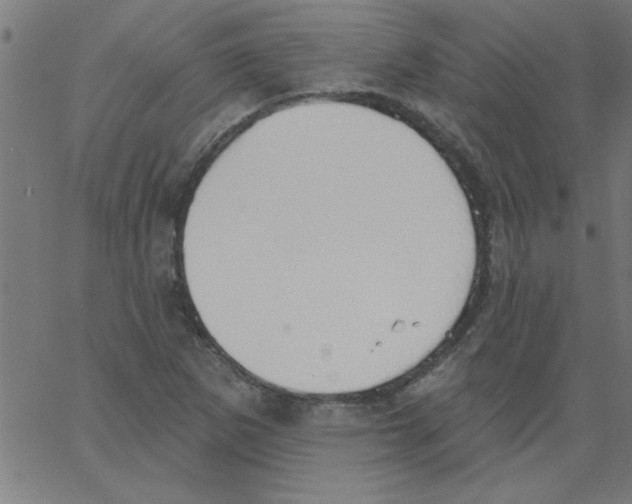 X0000067391265200604281833