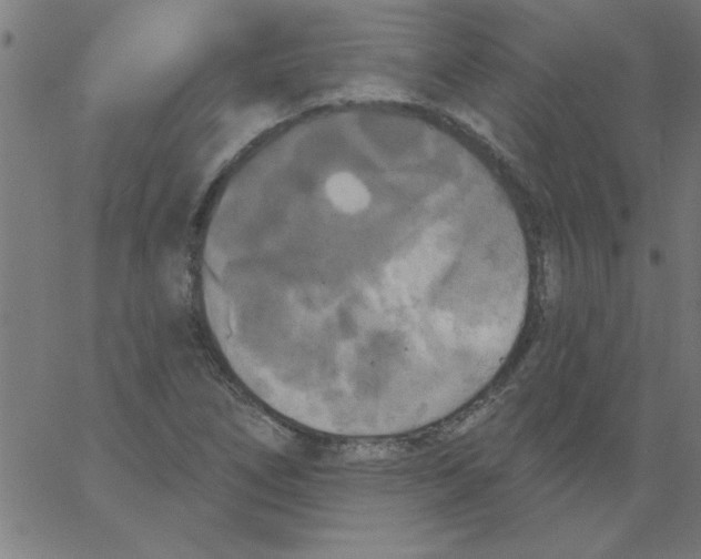 X0000067391266200604281833