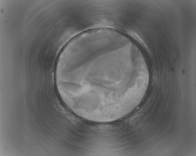 X0000067391268200604281833