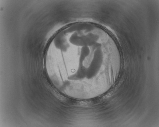 X0000067391271200604281833