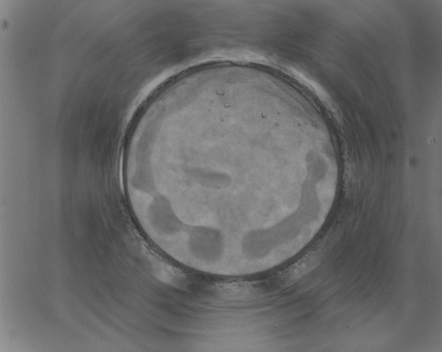 X0000067391272200604281833