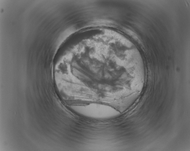 X0000067391275200604281833