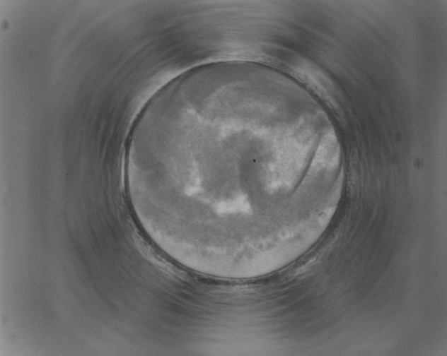 X0000067391276200604281833