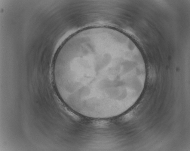 X0000067391278200604281833