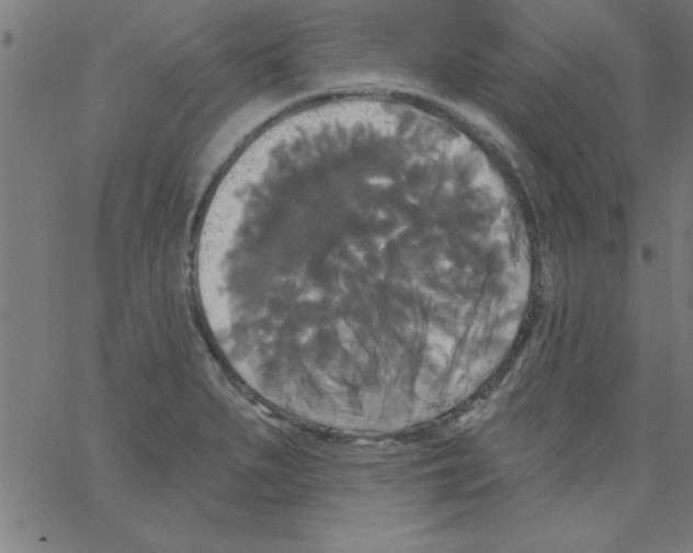 X0000067391279200604281833