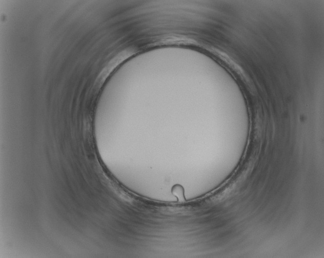 X0000067391281200604281833