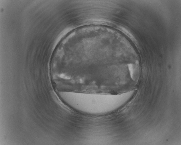 X0000067391283200604281833