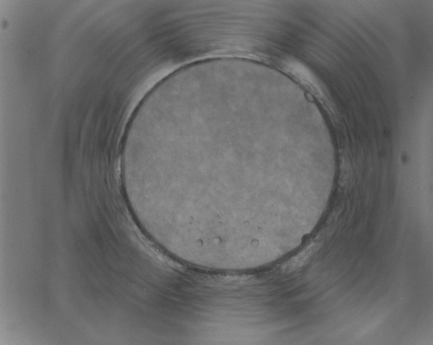 X0000067391284200604281833