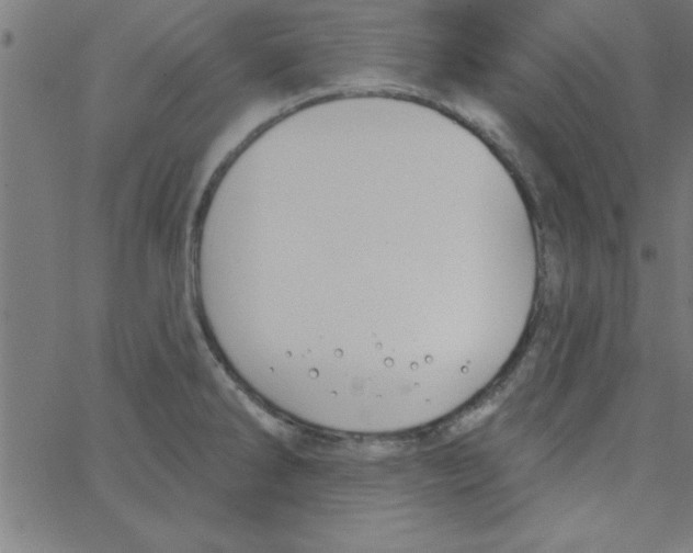 X0000067391286200604281833