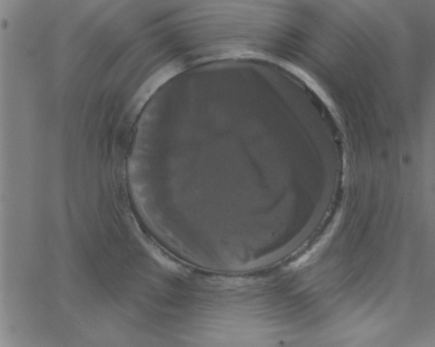 X0000067391289200604281833