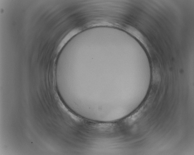 X0000067391290200604281833