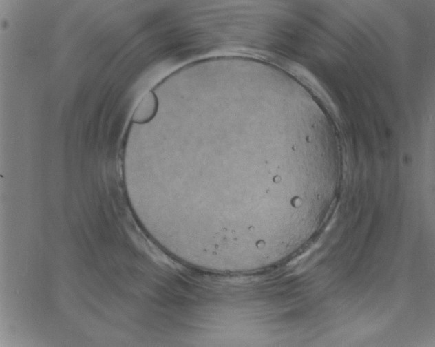 X0000067391292200604281833