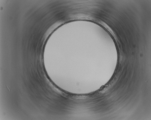 X0000067391293200604281833