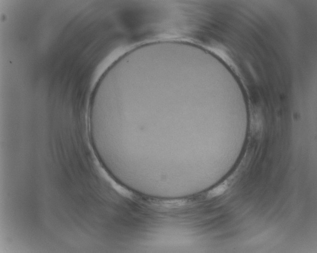 X0000067391294200604281833