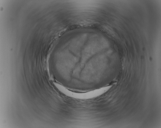 X0000067391298200604281832