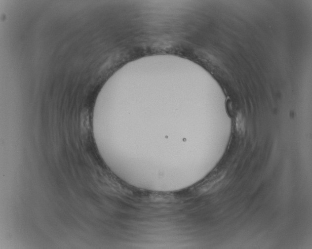 X0000067391299200604281832