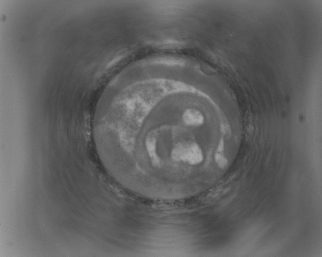 X0000067391301200604281832