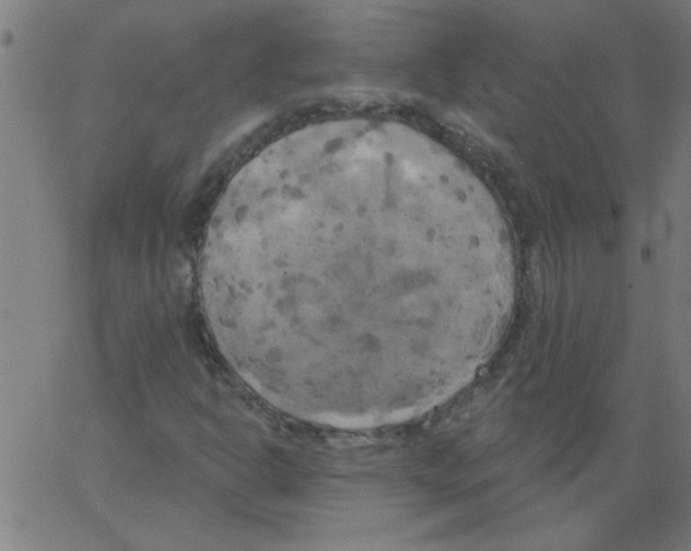 X0000067391302200604281832