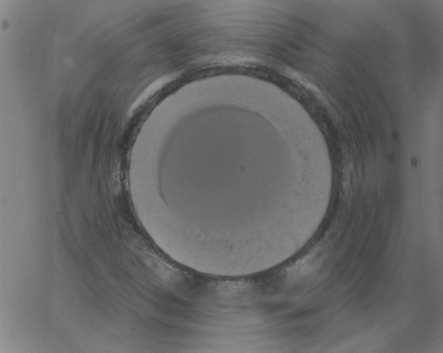 X0000067391306200604281832