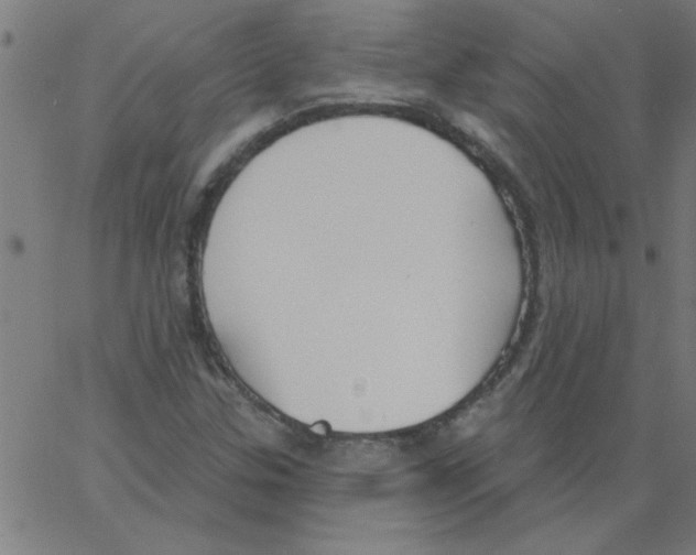 X0000067391307200604281832