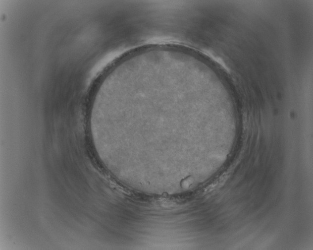 X0000067391311200604281832