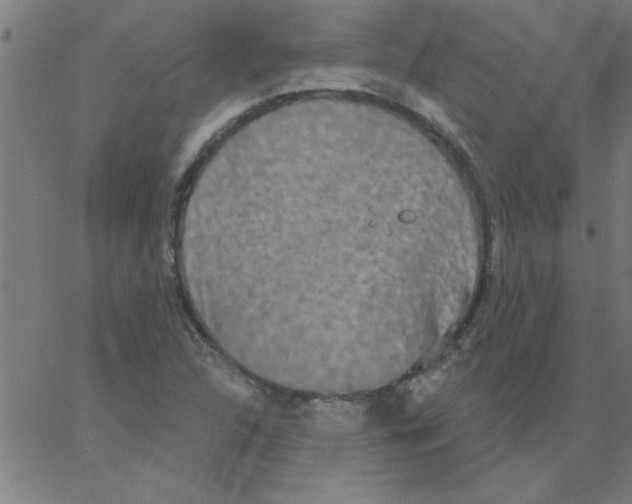 X0000067391312200604281832