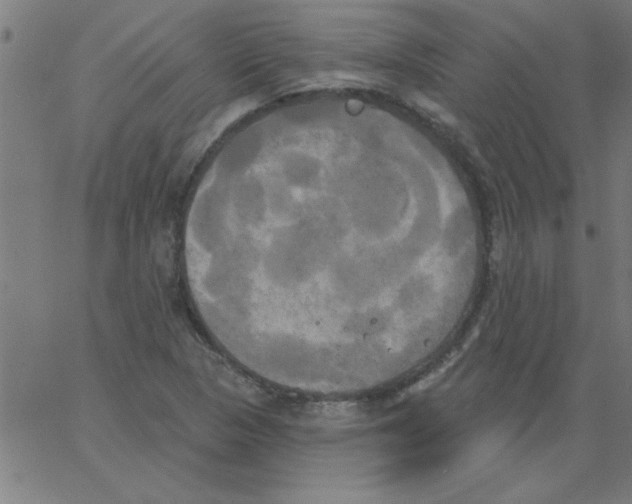 X0000067391313200604281832