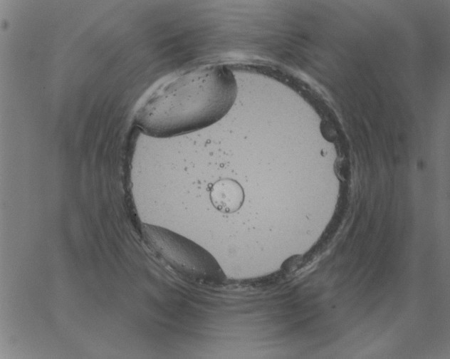 X0000067391314200604281832