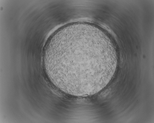 X0000067391316200604281832