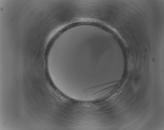 X0000067391319200604281832