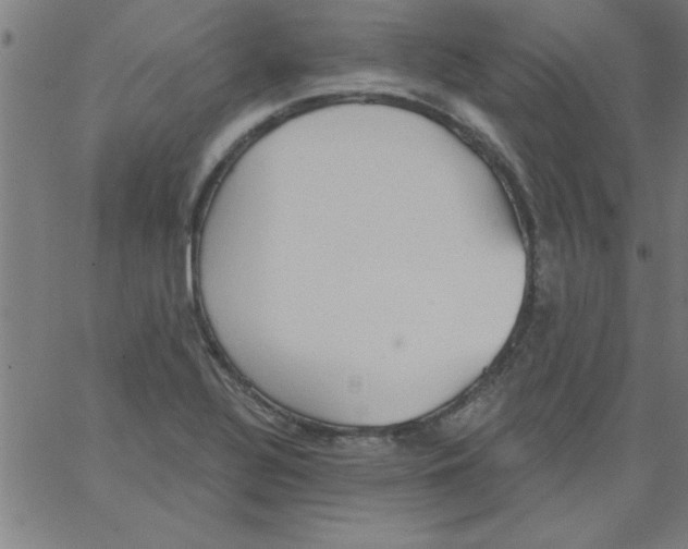 X0000067391320200604281832