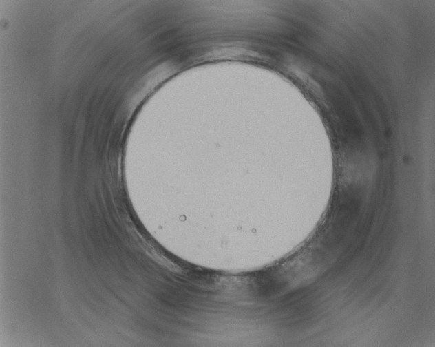 X0000067391322200604281832