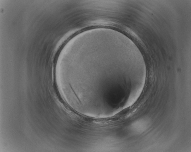 X0000067391323200604281832