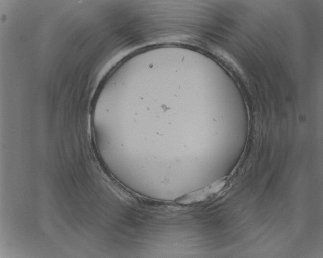 X0000067391324200604281832