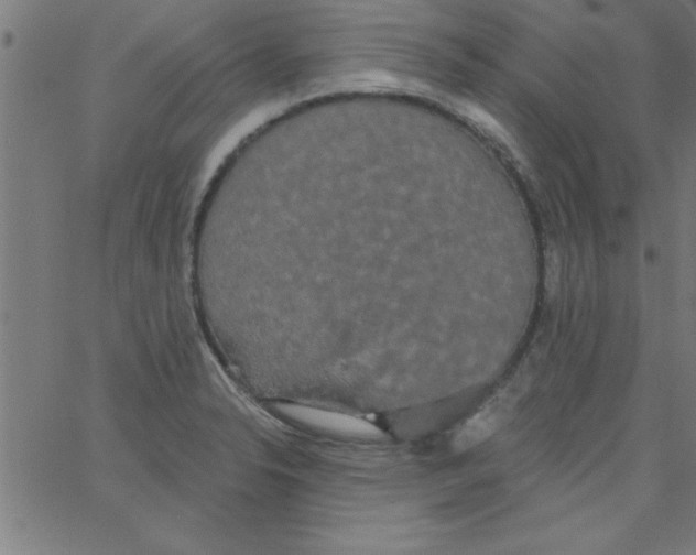 X0000067391326200604281832