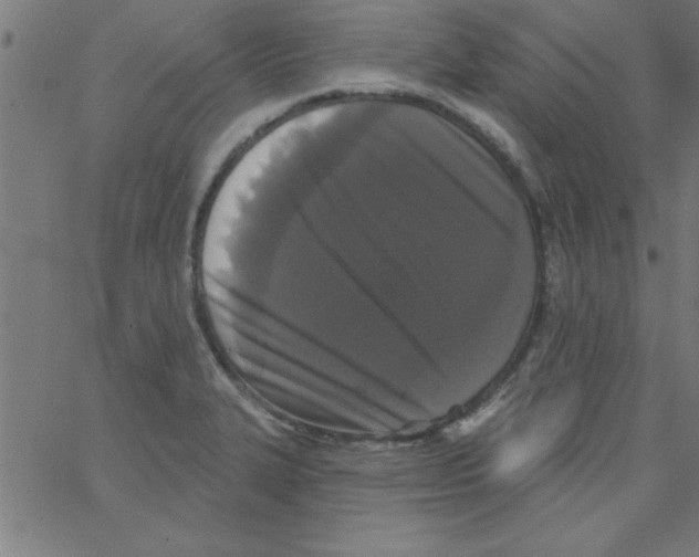 X0000067391327200604281832