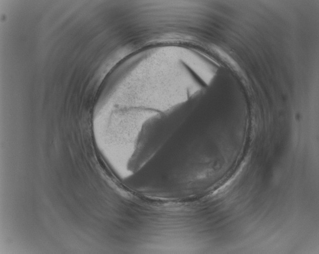 X0000067391329200604281832