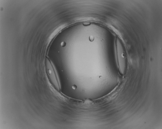 X0000067391330200604281832