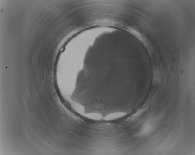 X0000067391331200604281832