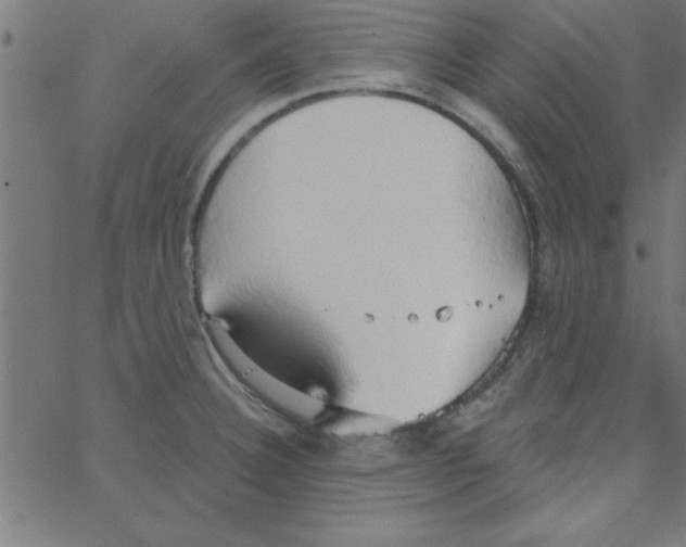 X0000067391332200604281832