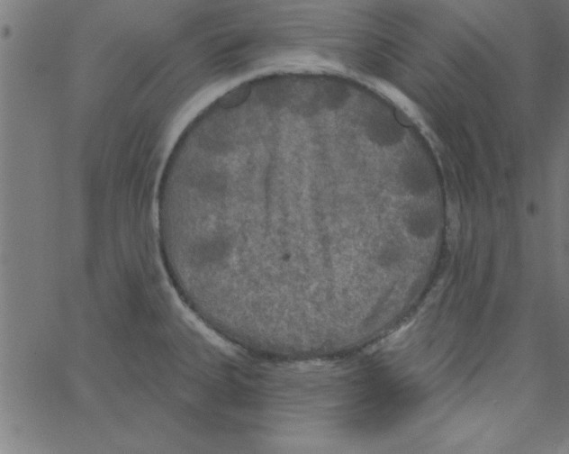 X0000067391335200604281832