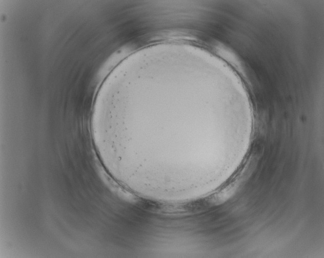 X0000067391338200604281832