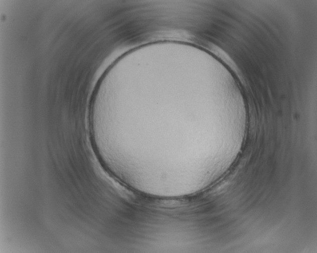 X0000067391339200604281832