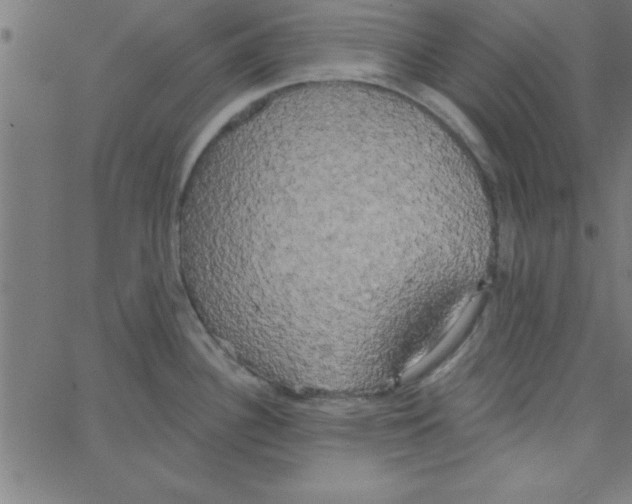 X0000067391340200604281832