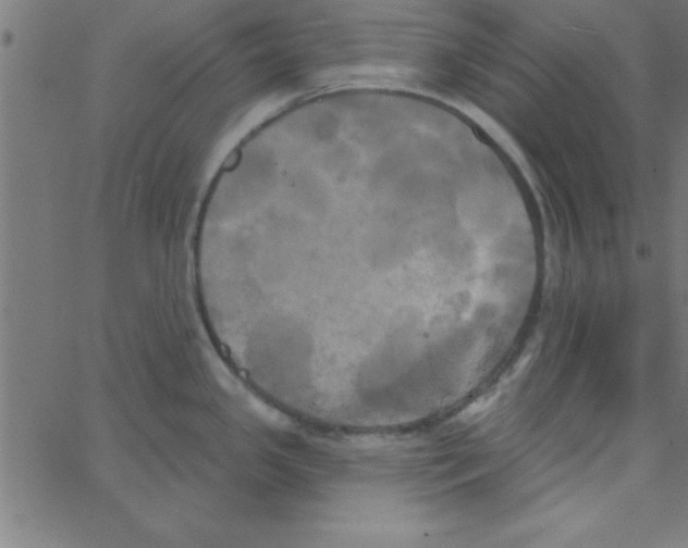 X0000067391341200604281832