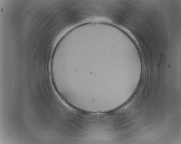 X0000067391343200604281832